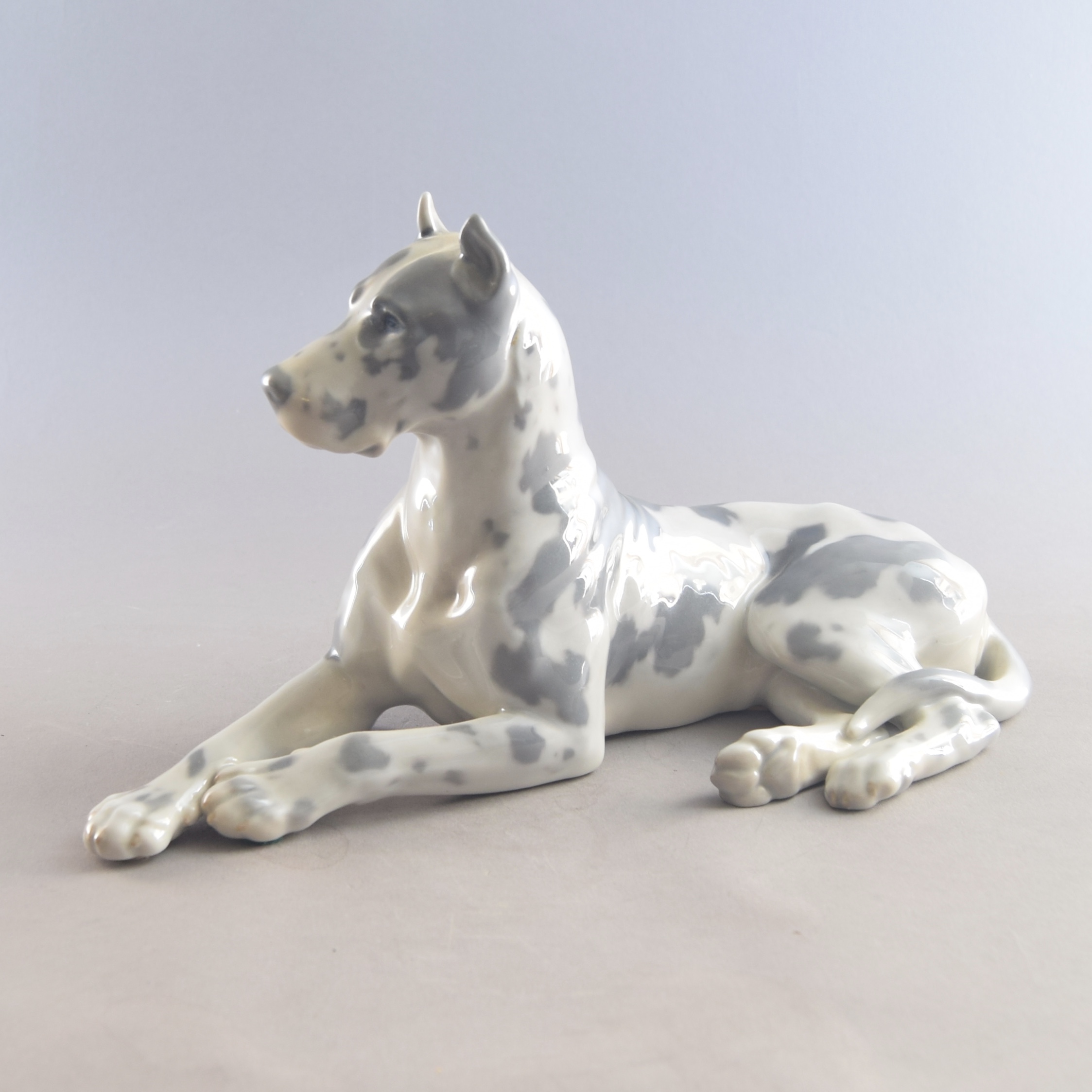 Skjult grænse grådig Grand Danois hund. nr. 1773. 29 cm. Bing og Grøndahl. - Bing & Grøndahl  figurer - Porcelænsbutikken