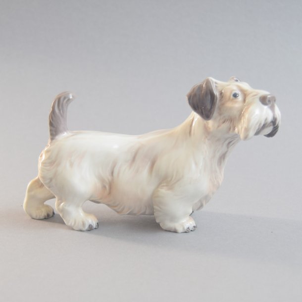 Sealyham Terrier. nr. 1002. 17 cm. Dahl Jensen.